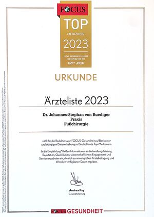 FOCUS-Siegel 2023